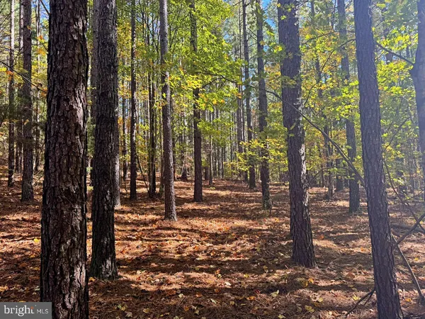 $59,900 | 0 Meherrin Road, Meherrin, VA 23954