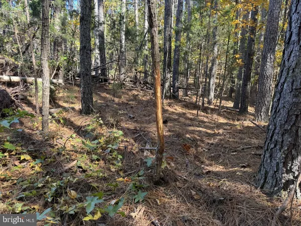 $59,900 | 0 Meherrin Road, Meherrin, VA 23954