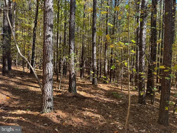 $59,900 | 0 Meherrin Road, Meherrin, VA 23954