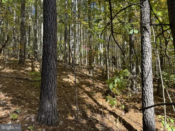 $59,900 | 0 Meherrin Road, Meherrin, VA 23954