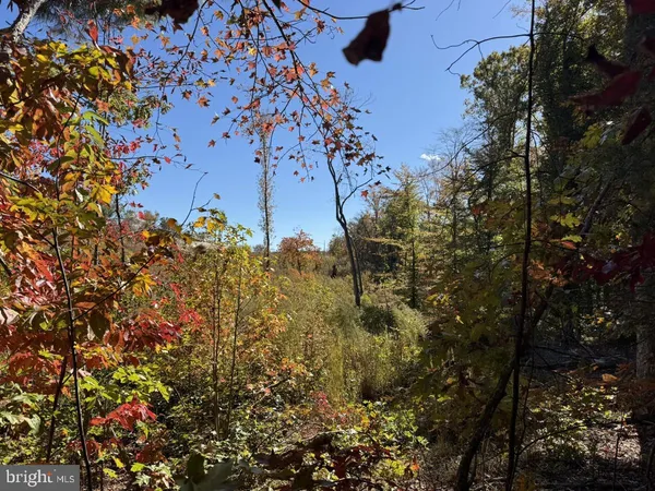 $59,900 | 0 Meherrin Road, Meherrin, VA 23954