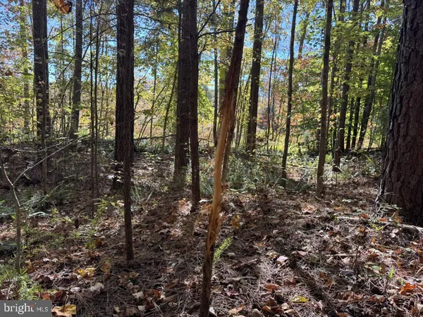 $59,900 | 0 Meherrin Road, Meherrin, VA 23954