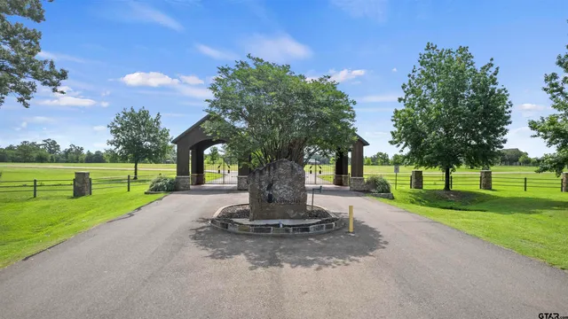 a view of a garden with trees
