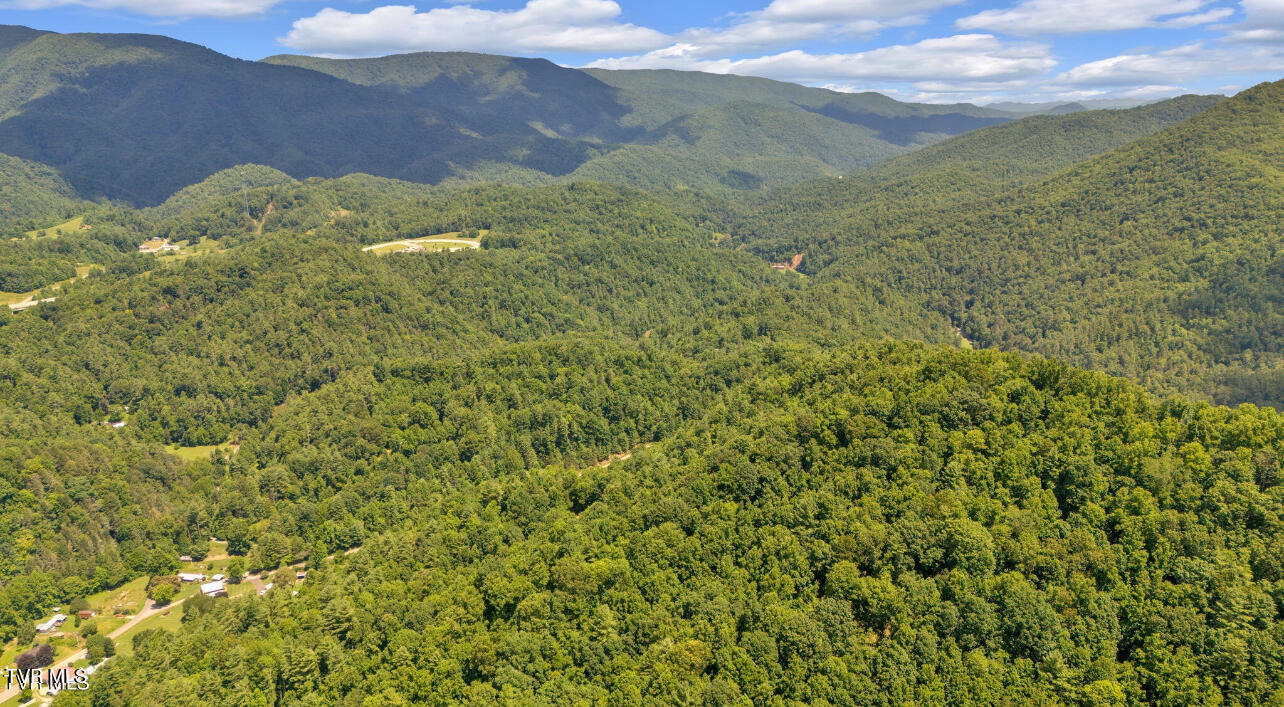 Tbd Raven Cliff Road Erwin, TN 37650 - Photo 3 of 10 IMG_7742