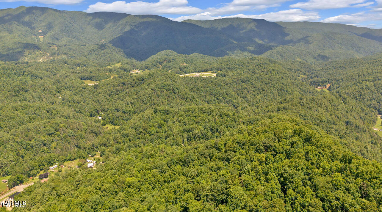 Tbd Raven Cliff Road Erwin, TN 37650 - Photo 4 of 10 IMG_7741