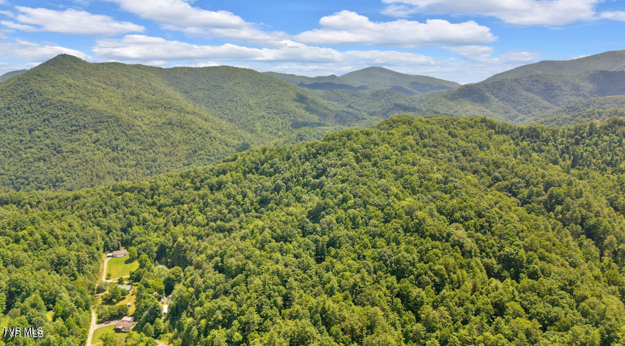 Tbd Raven Cliff Road Erwin, TN 37650 - Photo 5 of 10 IMG_7748