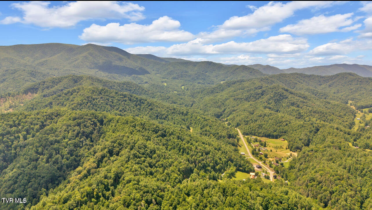Tbd Raven Cliff Road Erwin, TN 37650 - Photo 6 of 10 IMG_7747