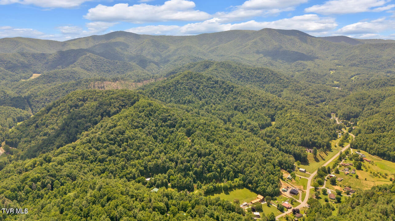 Tbd Raven Cliff Road Erwin, TN 37650 - Photo 7 of 10 IMG_7746