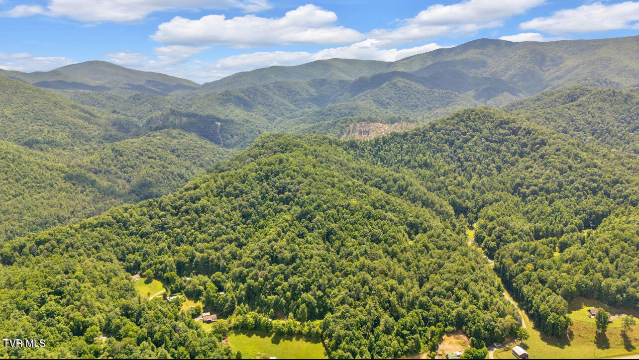 Tbd Raven Cliff Road Erwin, TN 37650 - Photo 8 of 10 IMG_7745