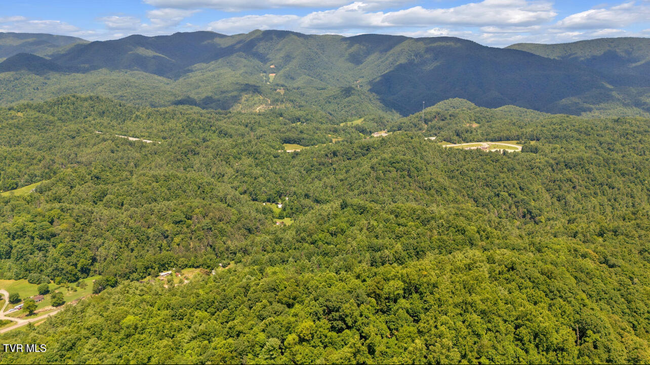 Tbd Raven Cliff Road Erwin, TN 37650 - Photo 9 of 10 IMG_7743