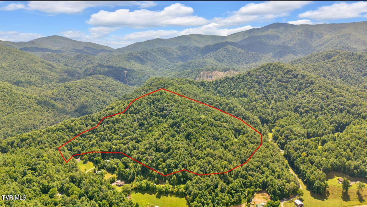 Tbd Raven Cliff Road Erwin, TN 37650 - Photo 10 of 10 IMG_7740