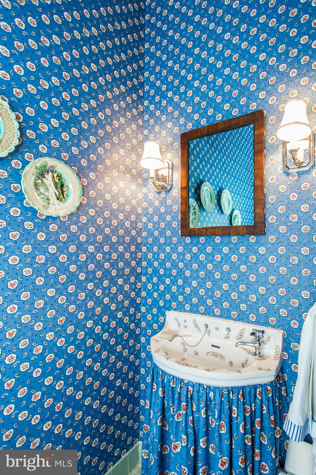 1724 Killington Road, Unit 29 Baltimore, MD 21204 - Photo 3 of 30 Interior (General) main level powder room
