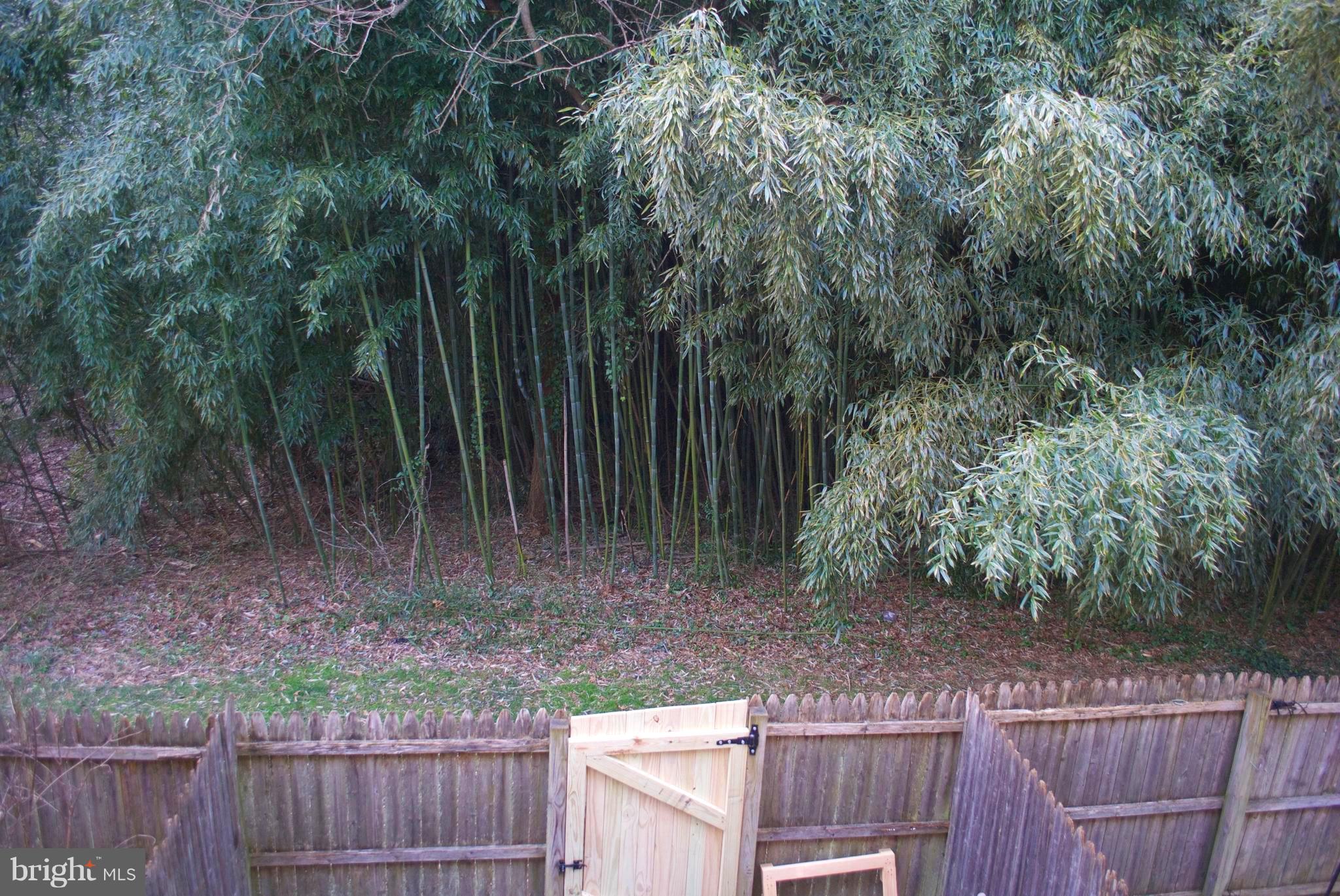 7635 Arbory Court, Unit 65 Laurel, MD 20707 - Photo 32 of 33 a view of backyard with tree