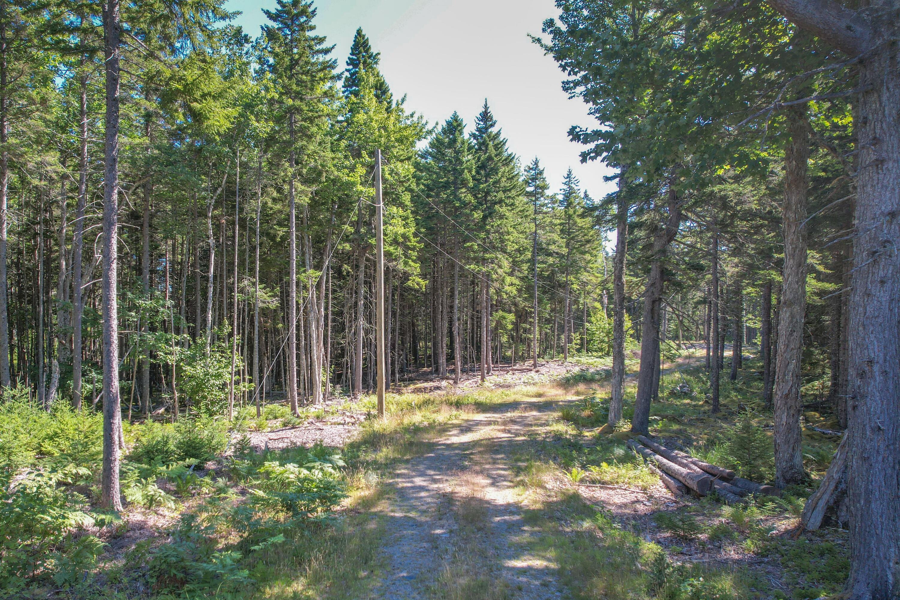 102 Estates Road, Unit LOT #3 Steuben, ME 04680 - Photo 7 of 14 Driveway approach.