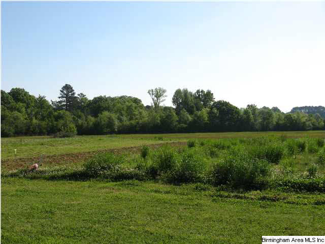 1475 Odens Mill Road Sylacauga, AL 35150 - Photo 22 of 28