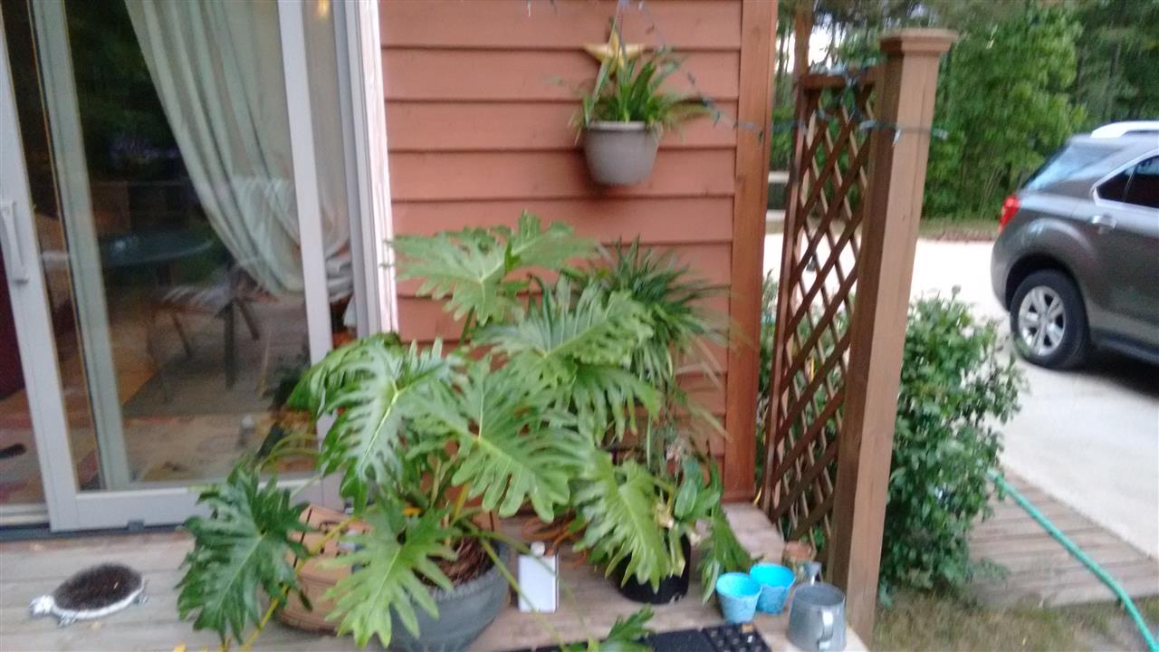 3460 West Baatz Road Maple City, MI 49664 - Photo 7 of 18 1855280-6.JPG