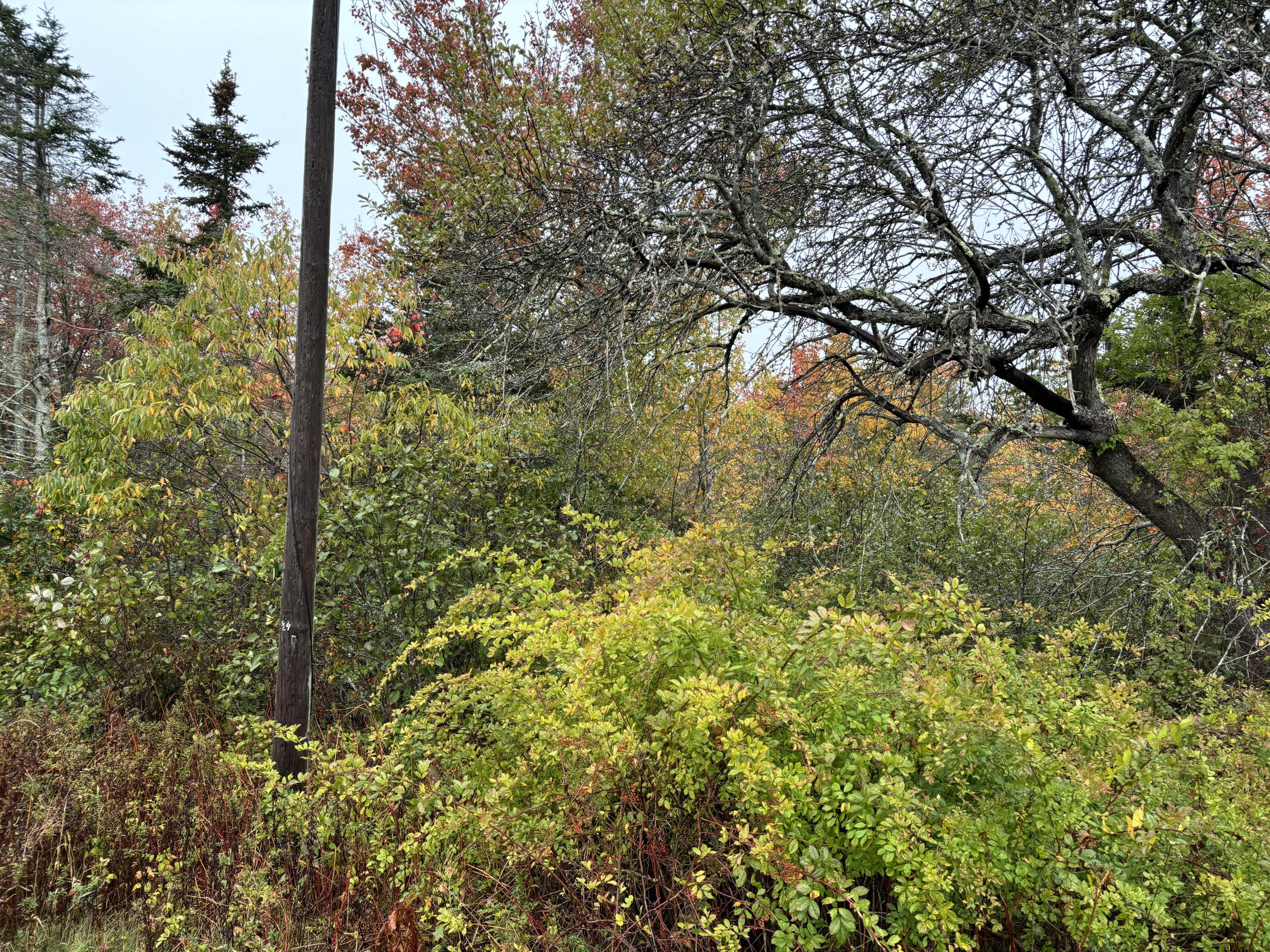 253 Hathorne Point Road Cushing, ME 04563 - Photo 12 of 12
