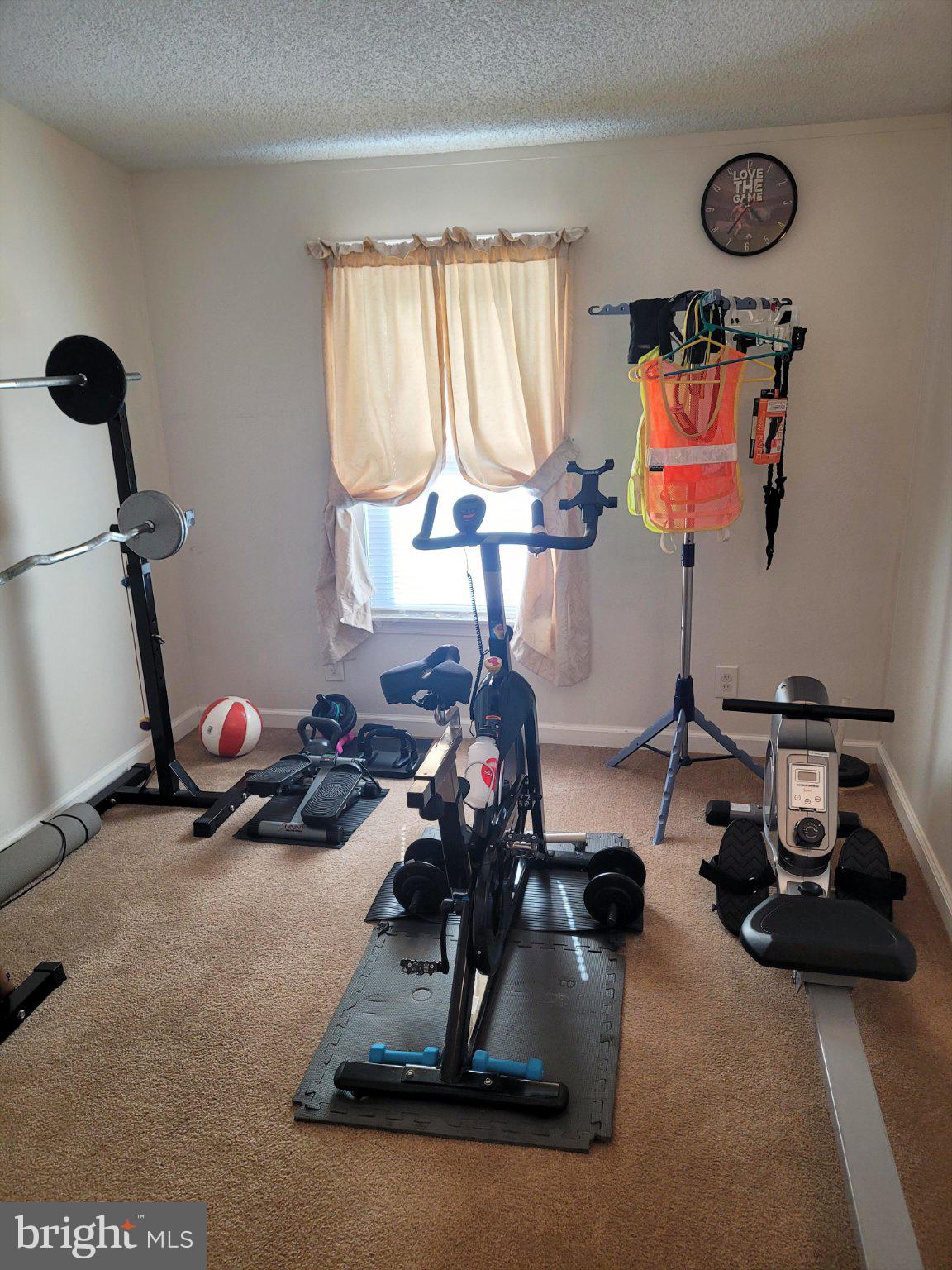 1729 Colora Road Colora, MD 21917 - Photo 18 of 21 Home gym with fitness essentials.