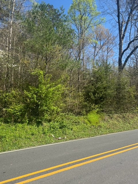 0 Pisgah Road Andrews, NC 28901 - Photo 4 of 4 Gallery Image 4