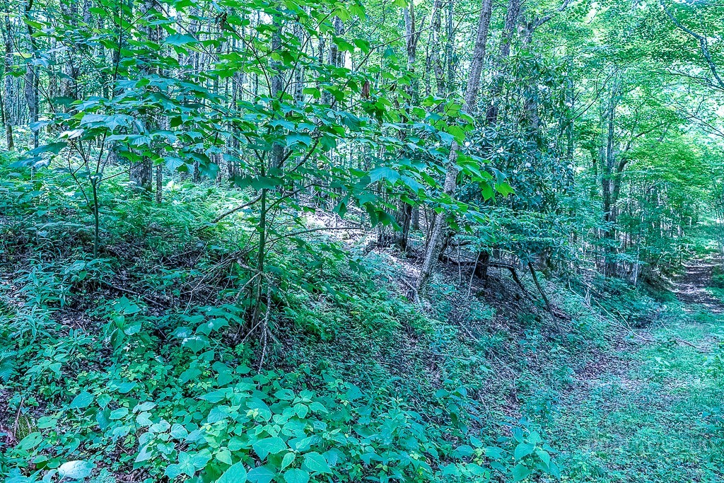 218 Old Mountain Road Banner Elk, NC 28604 - Photo 23 of 34 Gallery Image 23