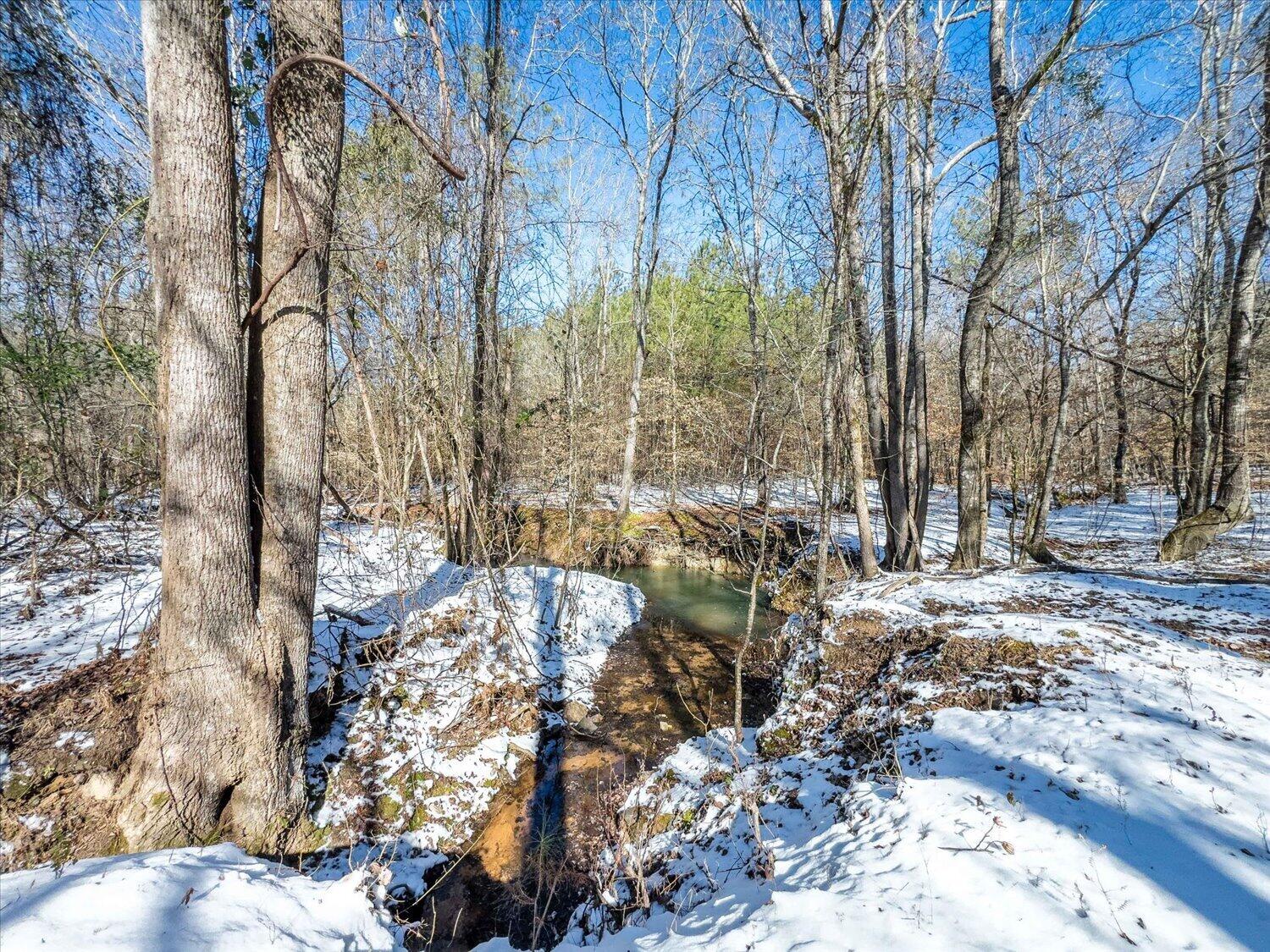 0 Hollis Norman & Callaway Road Tignall, GA 30668 - Photo 12 of 17 12-Hollis Norman Rd 12