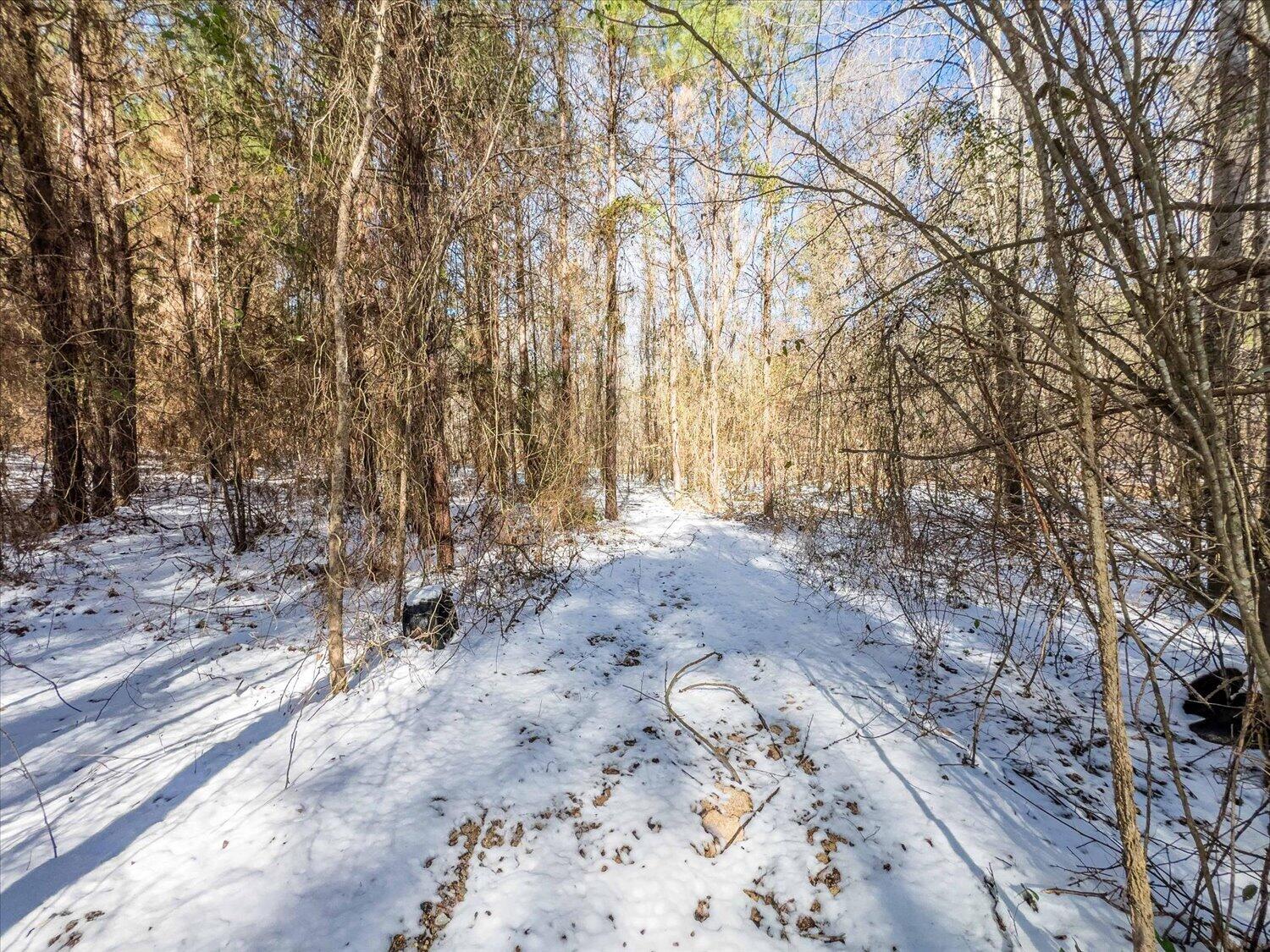 0 Hollis Norman & Callaway Road Tignall, GA 30668 - Photo 13 of 17 13-Hollis Norman Rd 13