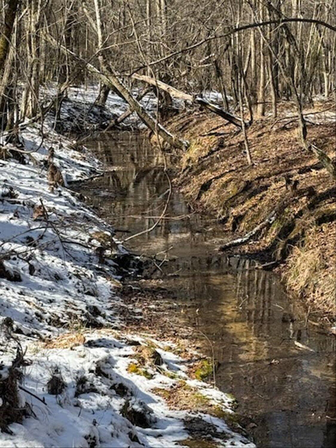 0 Hollis Norman & Callaway Road Tignall, GA 30668 - Photo 14 of 17 14-IMG_9951