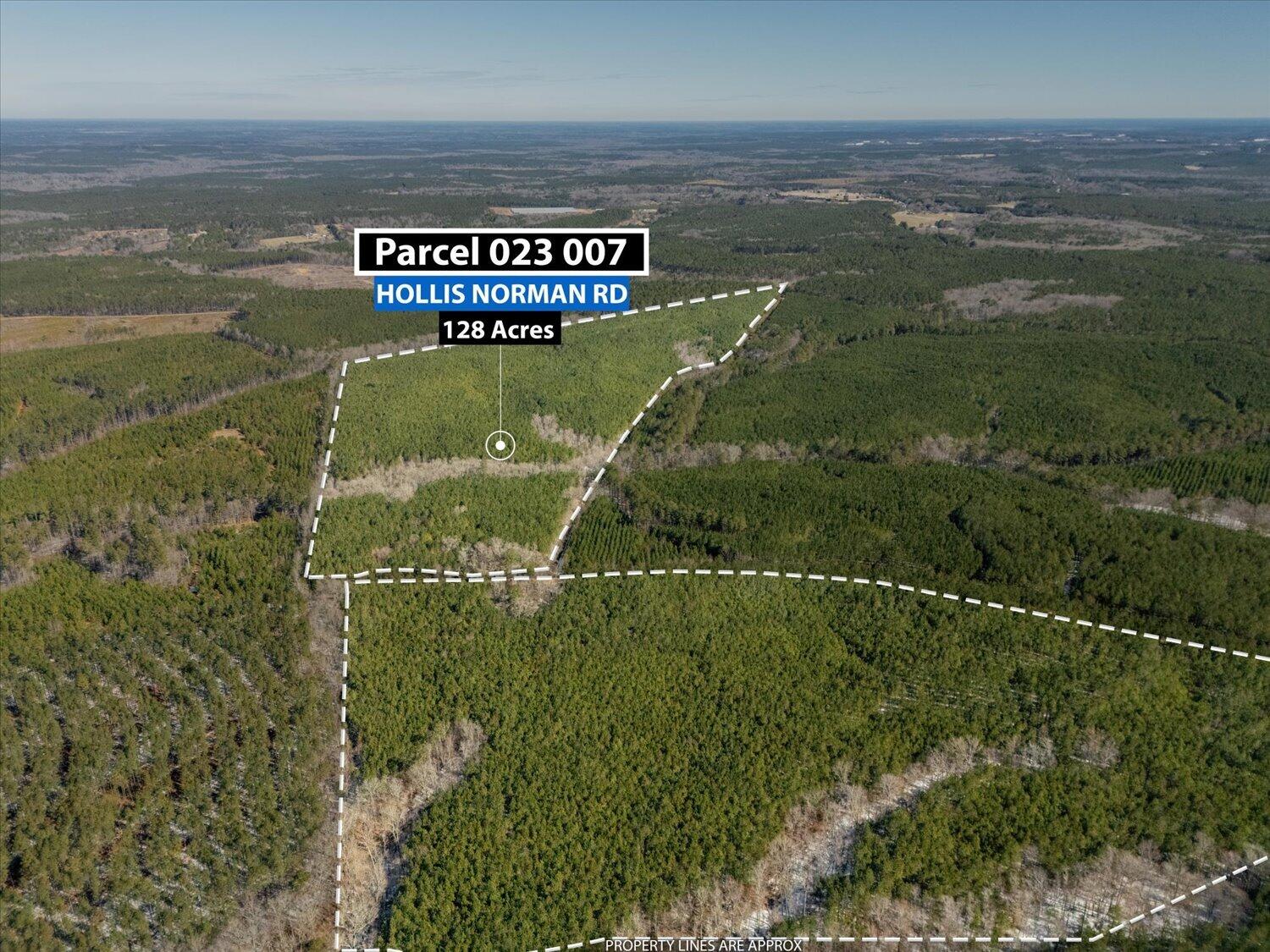 0 Hollis Norman & Callaway Road Tignall, GA 30668 - Photo 3 of 17 03-Hollis Norman Rd 03