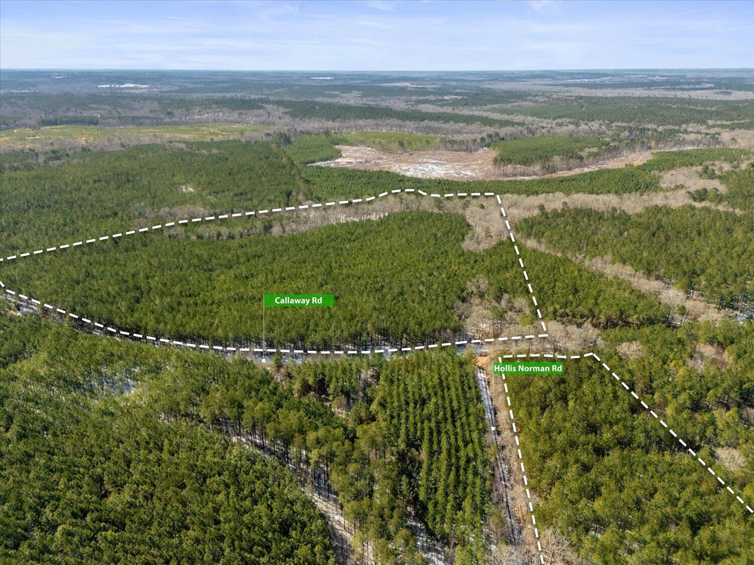 0 Hollis Norman & Callaway Road Tignall, GA 30668 - Photo 4 of 17 04-Hollis Norman Rd 04