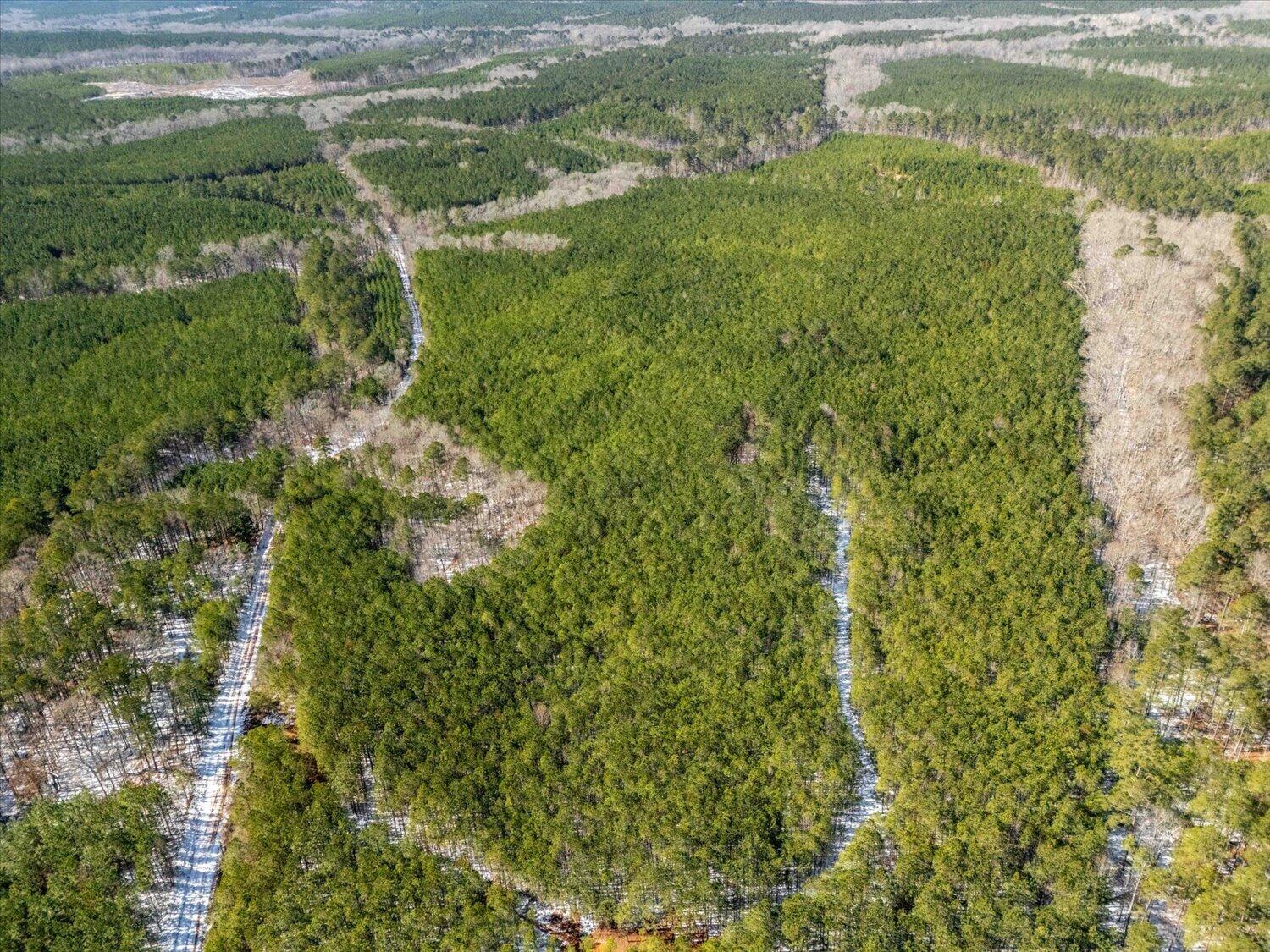 0 Hollis Norman & Callaway Road Tignall, GA 30668 - Photo 6 of 17 06-Hollis Norman Rd 06