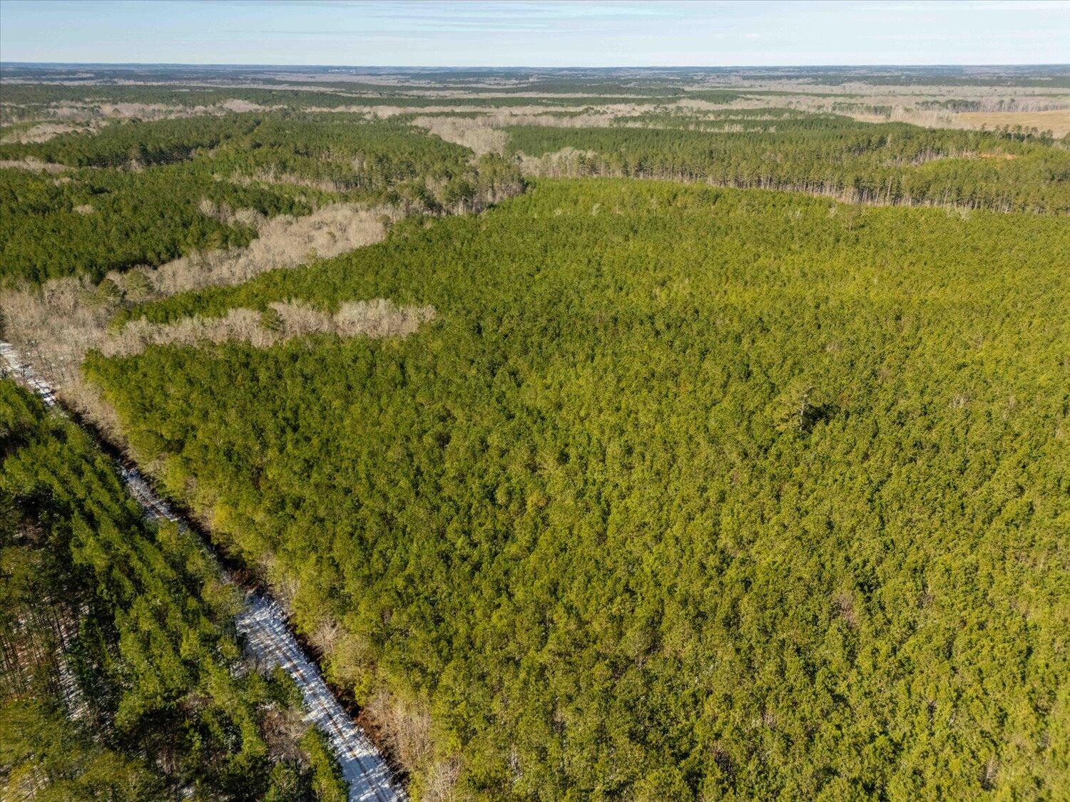 0 Hollis Norman & Callaway Road Tignall, GA 30668 - Photo 7 of 17 07-Hollis Norman Rd 07