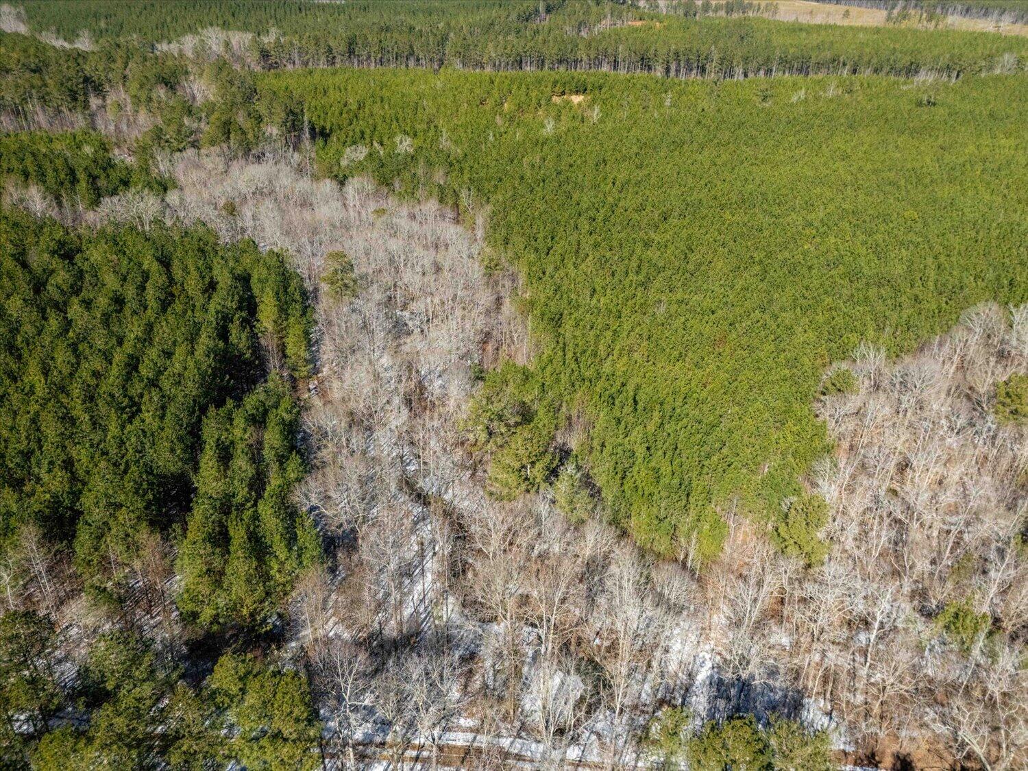 0 Hollis Norman & Callaway Road Tignall, GA 30668 - Photo 8 of 17 08-Hollis Norman Rd 08