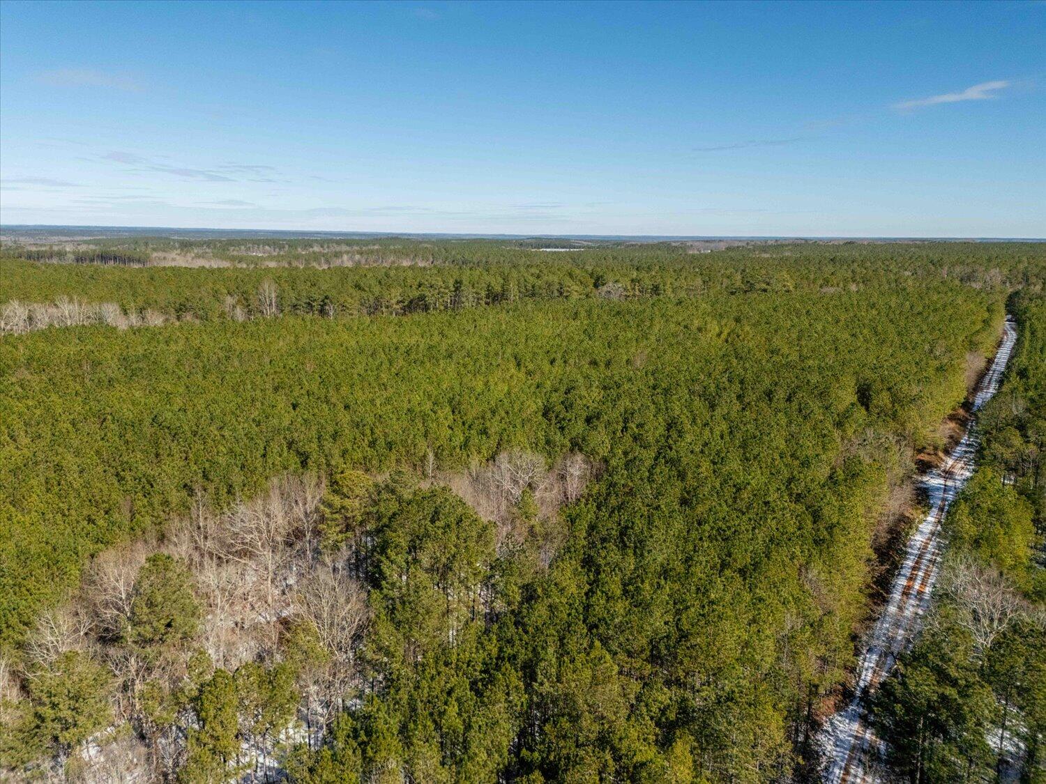 0 Hollis Norman & Callaway Road Tignall, GA 30668 - Photo 9 of 17 09-Hollis Norman Rd 09