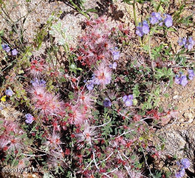 0 South Bent Spur Road Congress, AZ 85332 - Photo 24 of 24 4a