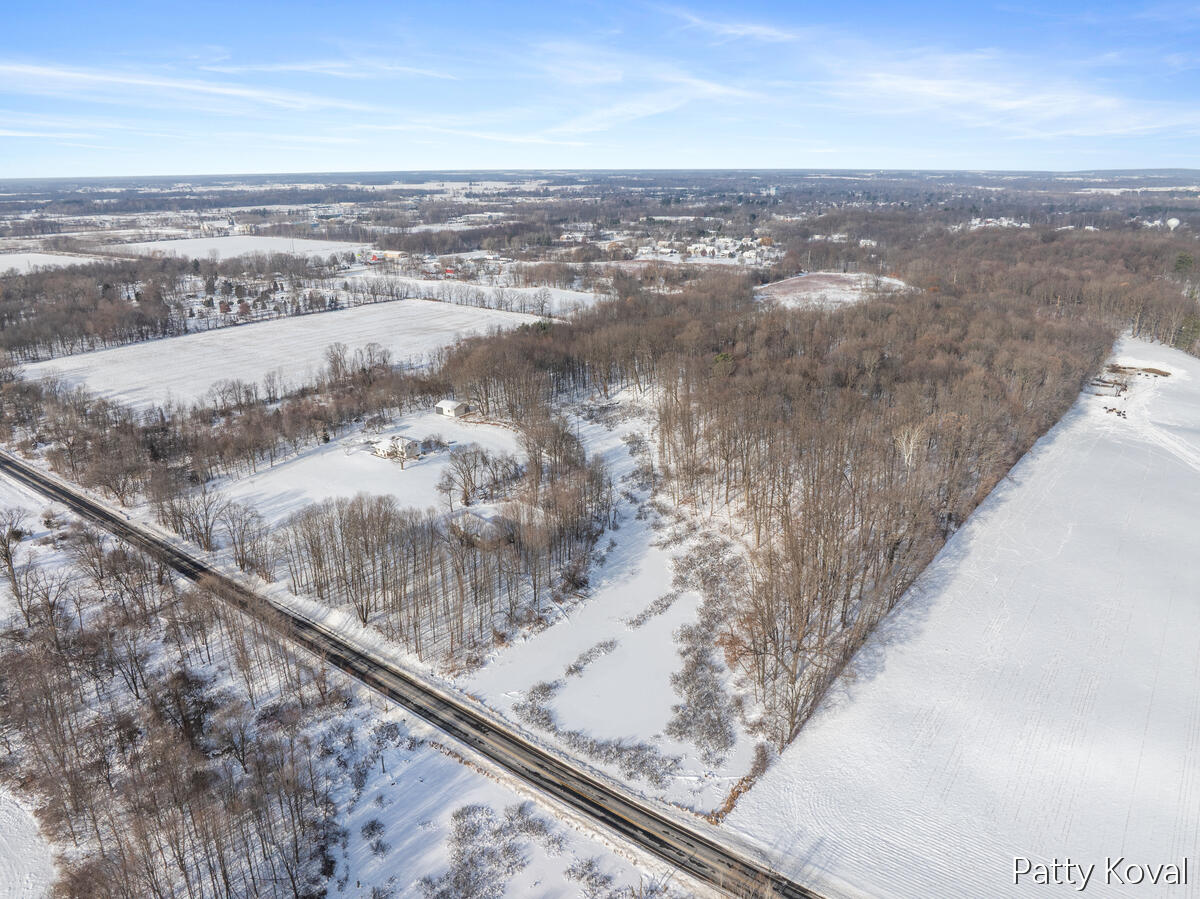 923 132nd Avenue Wayland, MI 49348 - Photo 6 of 9 Rd front looking NWly