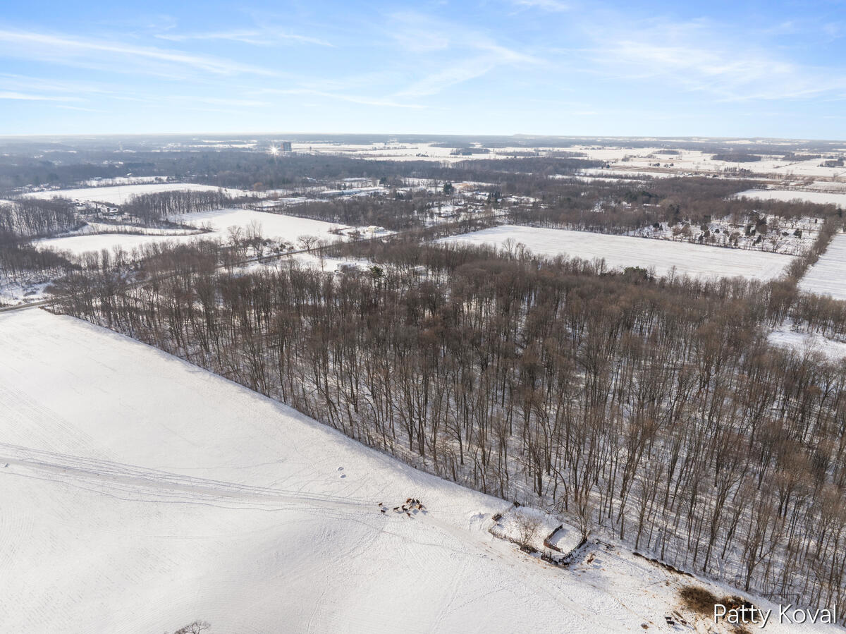 923 132nd Avenue Wayland, MI 49348 - Photo 7 of 9 Western side