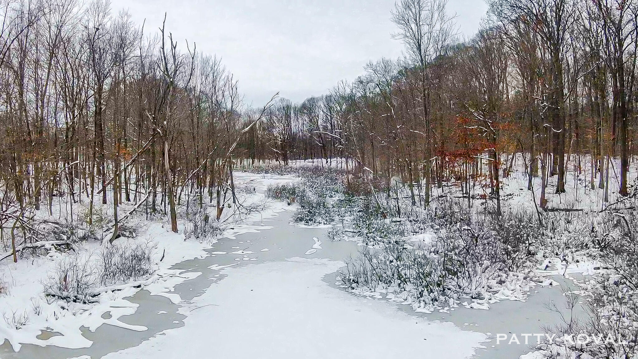 923 132nd Avenue Wayland, MI 49348 - Photo 9 of 9 Sites overlooks pond