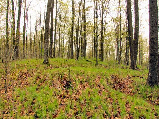 14-acres Starks Settlement Road Laona, WI 54541 - Photo 10 of 12 Gallery Image 10