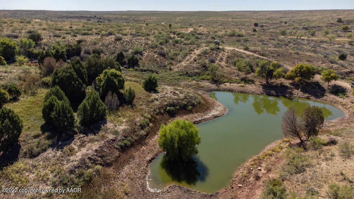 Conrad_Ranch-026_Pond