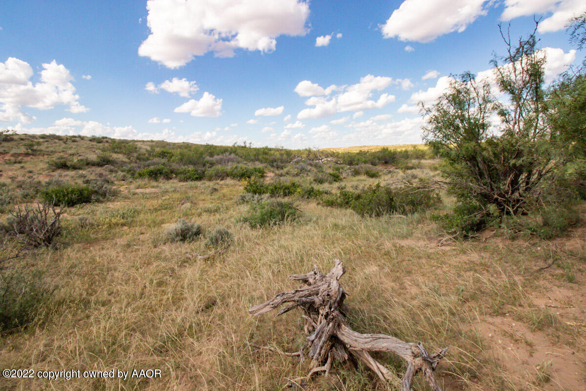 Conrad Ranch Adrian, TX 79001 - Photo 30 of 69 Conrad_Ranch-019_Land