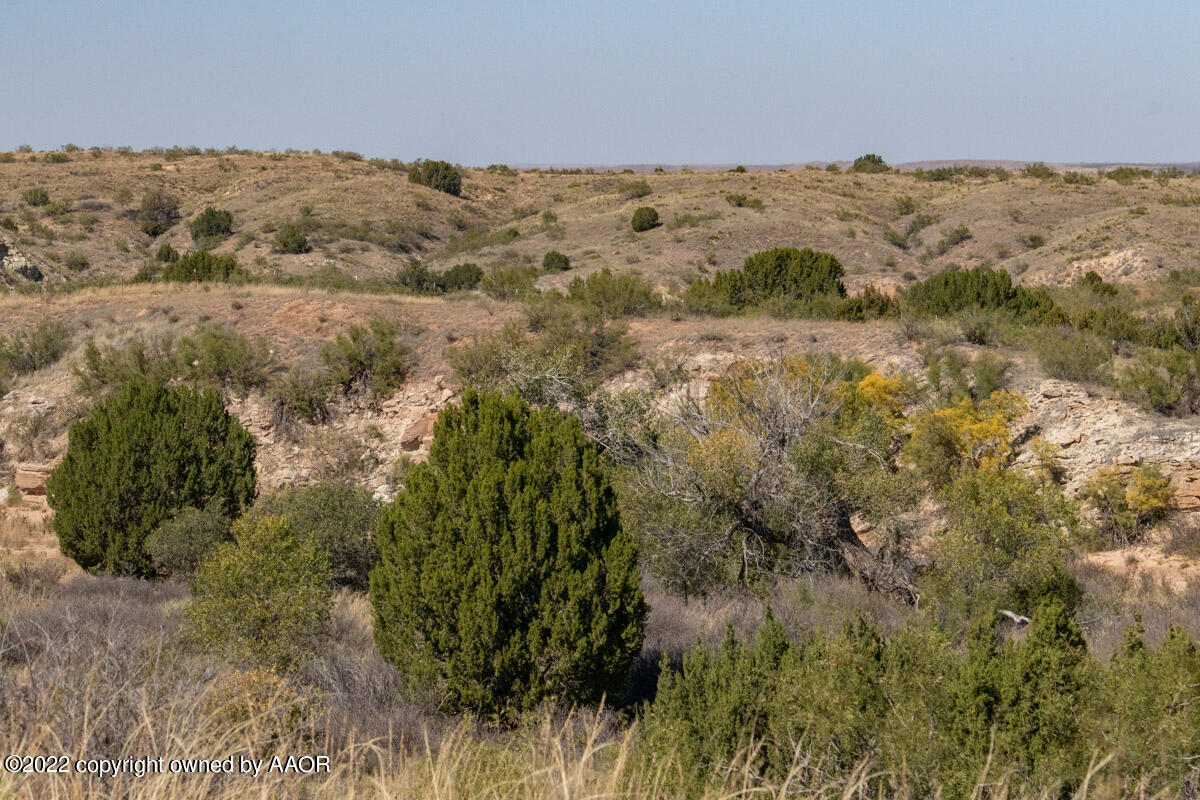 Conrad Ranch Adrian, TX 79001 - Photo 50 of 69 Conrad_Ranch-052_Land