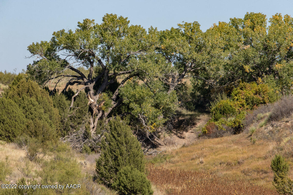 Conrad Ranch Adrian, TX 79001 - Photo 8 of 69 Conrad_Ranch-053_Land