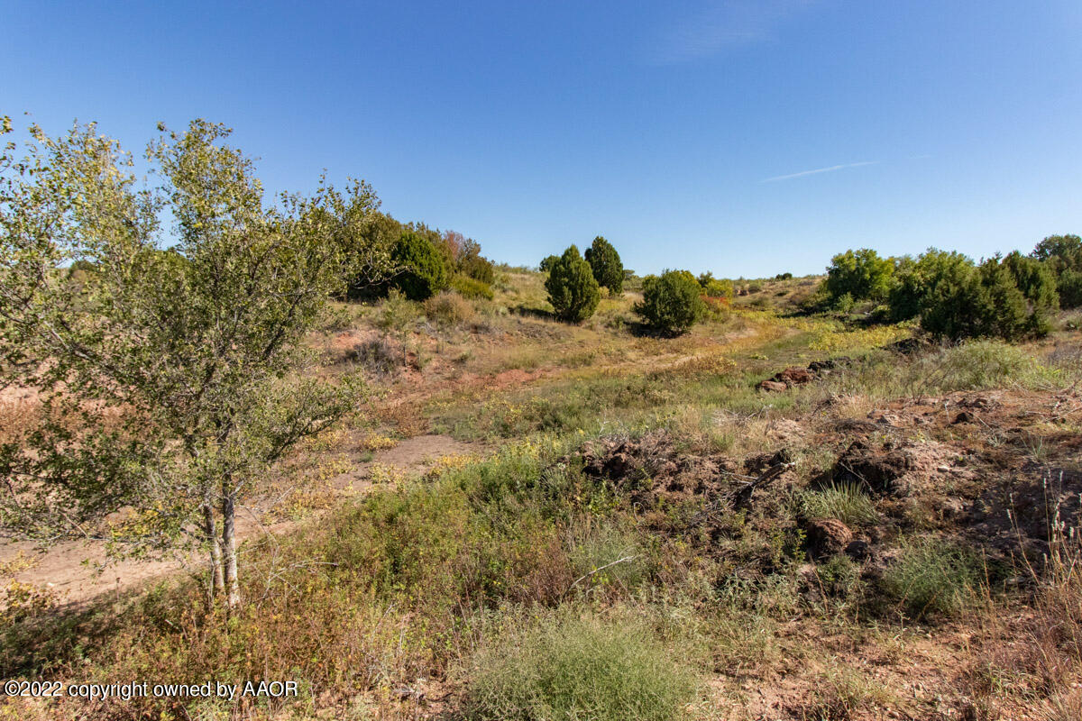 Conrad Ranch Adrian, TX 79001 - Photo 10 of 69 Conrad_Ranch-046_Land