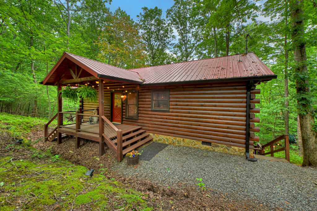 9 Casey Court Blue Ridge, GA 30513 - Photo 8 of 52 Gallery Image 8