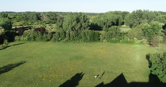 a view of a lake from a yard
