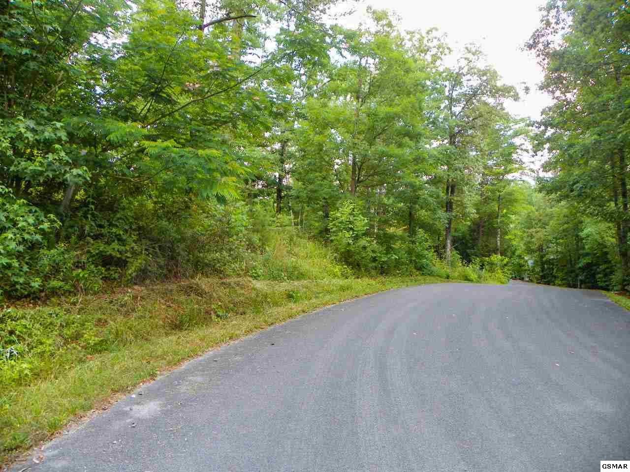 12 Bogle Spring Loop Sevierville, TN 37862 - Photo 11 of 14 Gallery Image 11