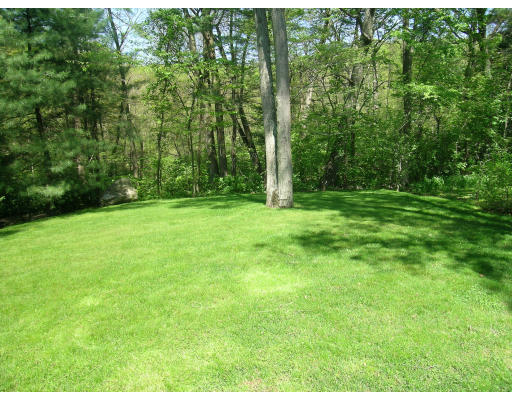 43 Newbrook Circle Newton, MA 02467 - Photo 14 of 14 a view of a big yard with trees in the background