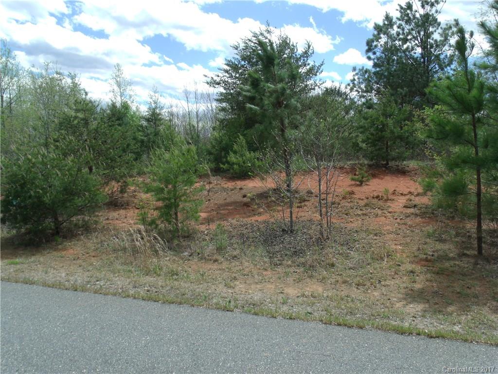 39 Hope Drive Rutherfordton, NC 28139 - Photo 1 of 4 a view of a dry yard with trees
