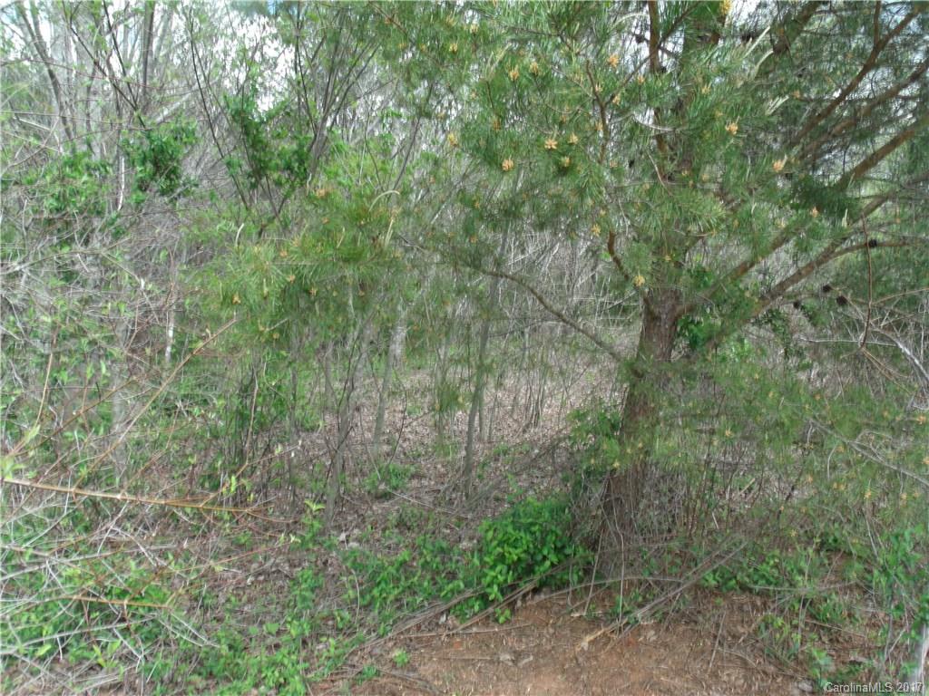 39 Hope Drive Rutherfordton, NC 28139 - Photo 2 of 4 a view of a forest with trees in the background