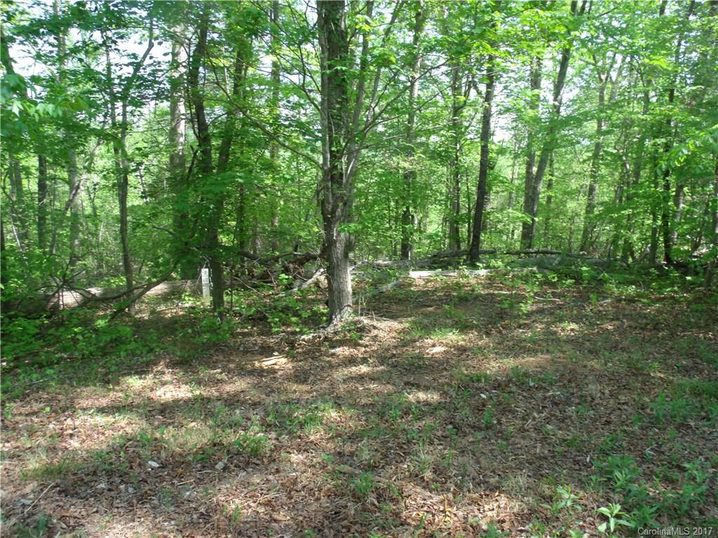 39 Hope Drive Rutherfordton, NC 28139 - Photo 3 of 4 a view of outdoor space and green space